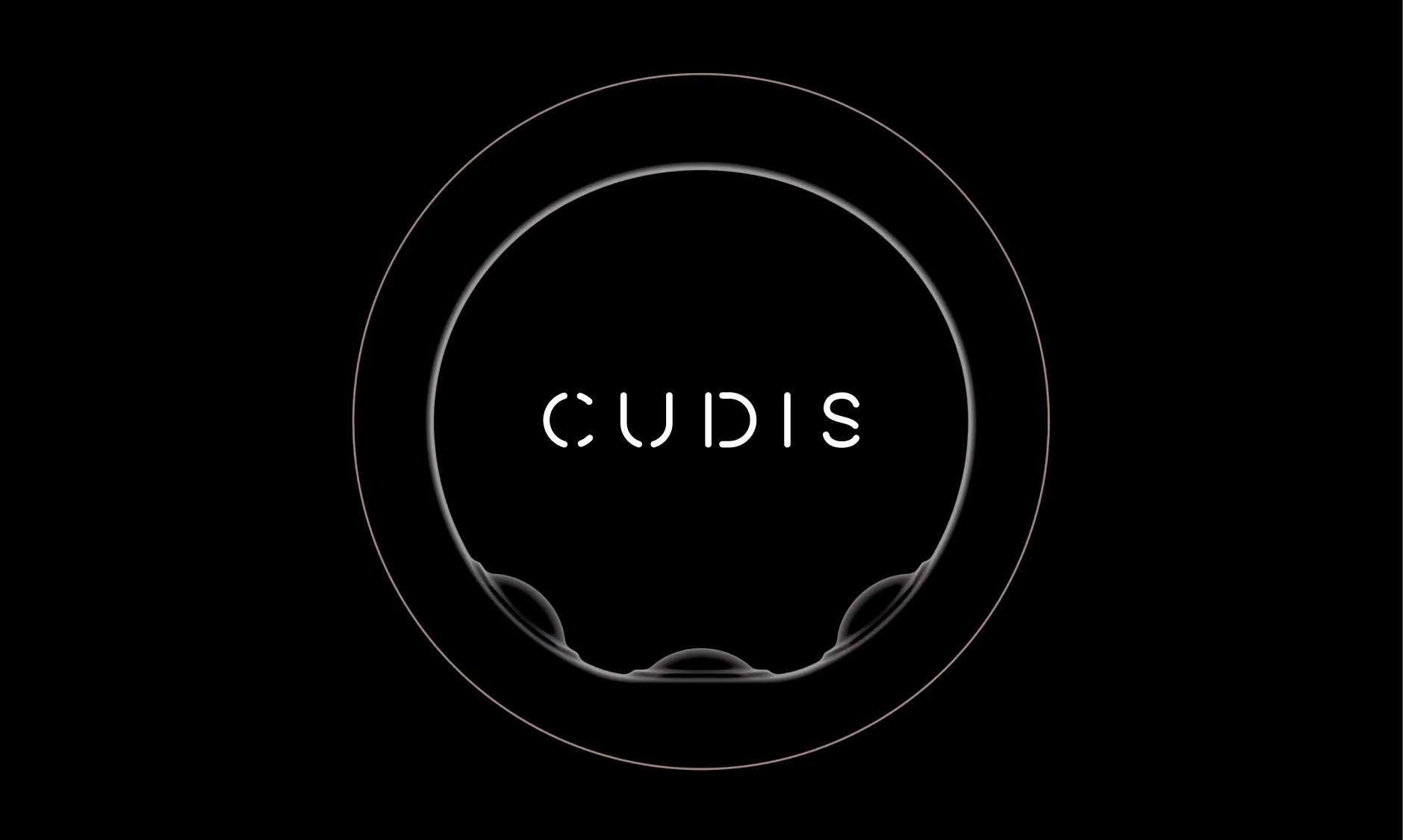 CUDIS — 3.1